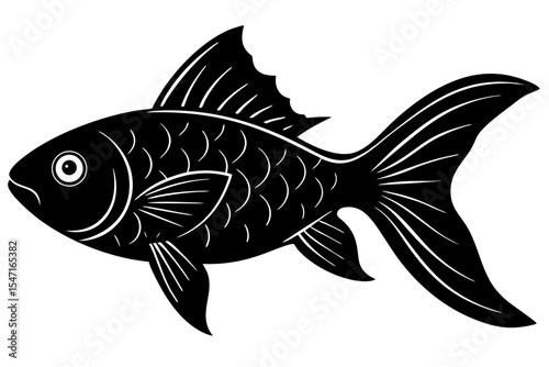 fish on a white background