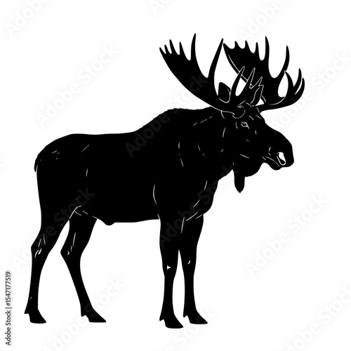 Majestic Moose A Powerful Symbol of Wilderness Representing Strength Adaptability and Harmony with Nature in the Wild