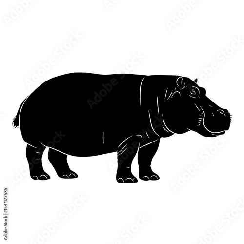 A Silhouette of a Hippopotamus Standing Calmly Against A Plain White Background In The Wild