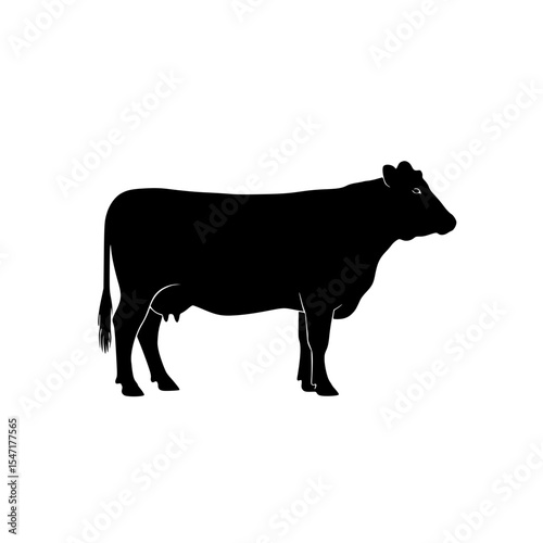 Understanding the Biology and Anatomy of a Dairy Cow and its Role in Milk Production