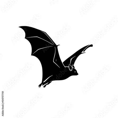Exploring the Nocturnal World A Deep Dive into the Biology Behavior and Conservation of Bats