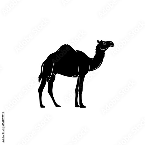 The Magnificent Camel a Symbol of Resilience Adaptation and Survival in Arid Environments Inspiring Tales of Travel