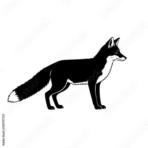 The Black Fox A Majestic Creature in its Natural Habitat An Exploration of Color Morphology And Adaptation