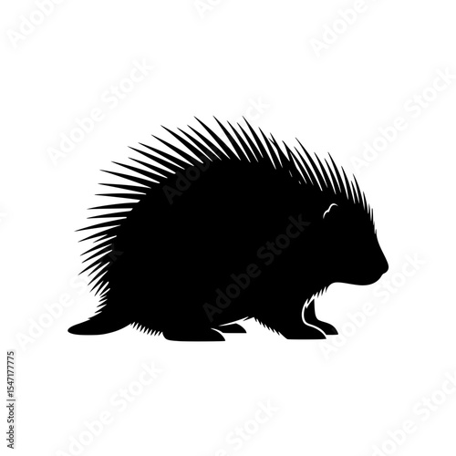 Understanding Porcupine Characteristics and How They Protect Themselves From Predators in Their Natural Habitat