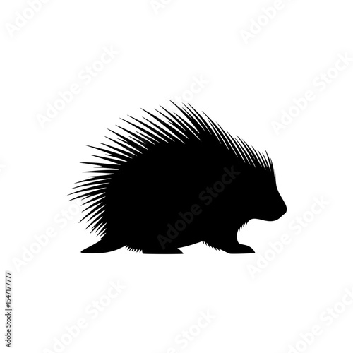 A Solitary Silhouette A Portrait of a Porcupine in Graphic Black and White