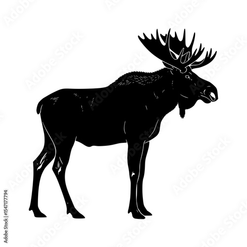 The Majestic Silhouette of an Enigmatic Moose Exploring The Depths of The Wild Untouched Wilderness