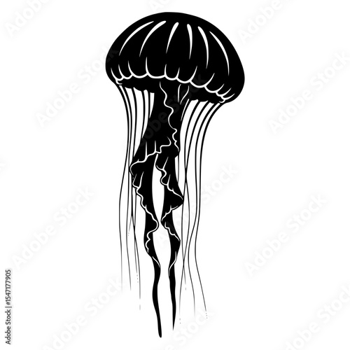 A Deep Dive Into the Mysterious World of Jellyfish Ocean Wonders and Biological Marvels of the Sea