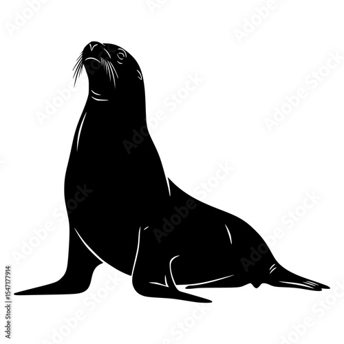 Majestic Sea Lion Silhouette Revealing the Beauty and Grace of Marine Life in the Ocean Habitat