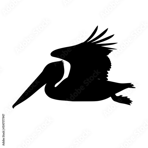 Pelican Silhouette in Mid Flight Against a White Backdrop Representing Wildlife Conservation and Coastal Ecosystems