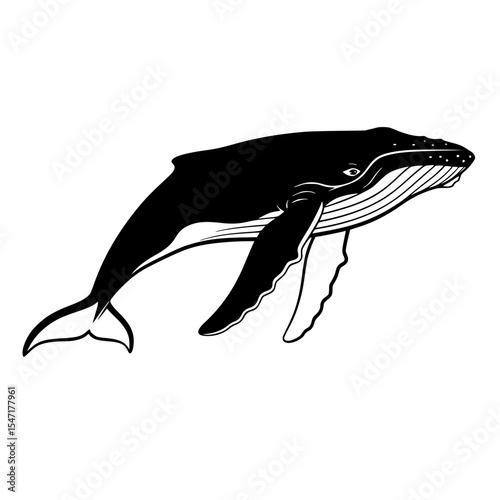 Majestic Humpback Whale Leaping From the Ocean Depths A Symphony of Nature's Beauty and Marine Wonder