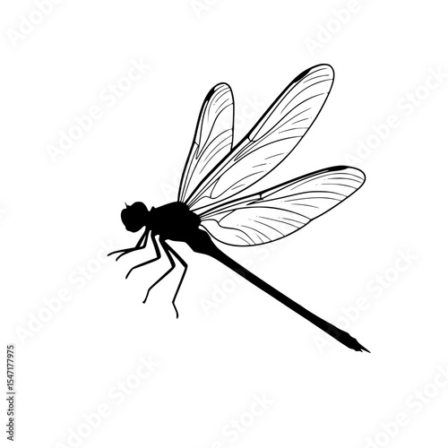 A Delicate Dance of Sunlight Dragonfly Graceful Flight Through the Summer Air Nature's Elegant Messenger