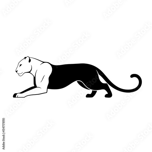 Elegant Black and White Panther in Motion Depicting Strength and Agility