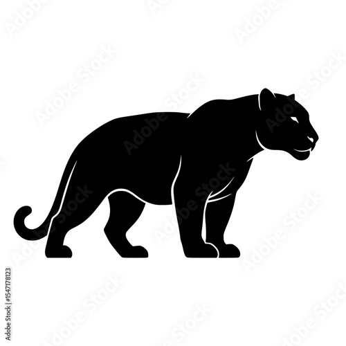 An Agile Black Panther Standing Proudly Watching its Territory and Seeking the Next Hunting Opportunity in The Wild