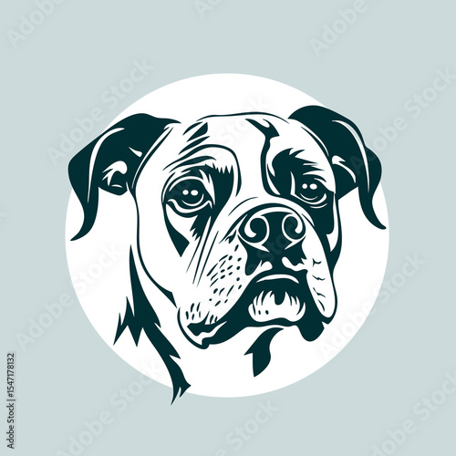 American staffordshire terrier