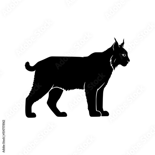 Silhouette Depiction of a Solitary Wildcat Roaming Freely Through the Untamed Wilderness