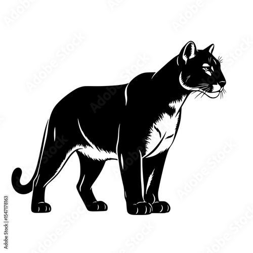The Majestic Black Panther A Symbol of Power Agility and Grace Roaming Through the Shadows of the Night