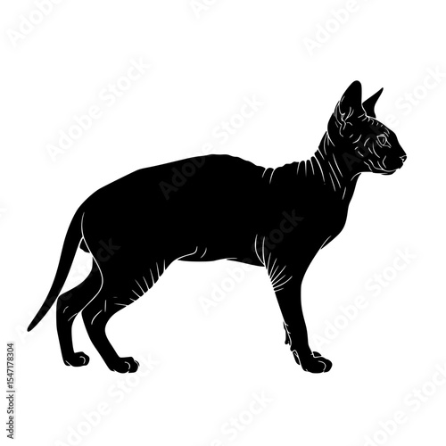 Silhouette of a Hairless Cat with Large Ears and a Slender Body Standing Profile View Isolated on White Background