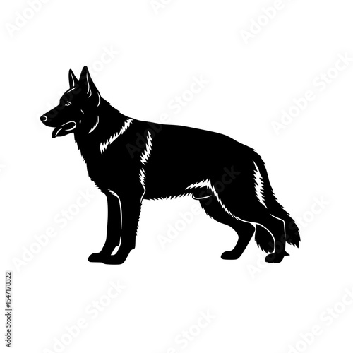 Understanding the Canine World A Guide to Dog Breeds and Their Unique Characteristics