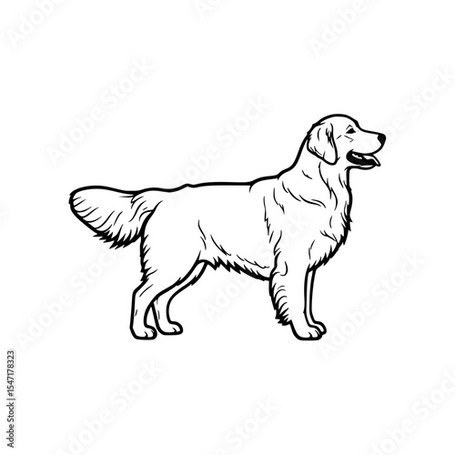 The Golden Retriever A Detailed Exploration of the Breed's Traits Temperament History and Care Requirements Guide
