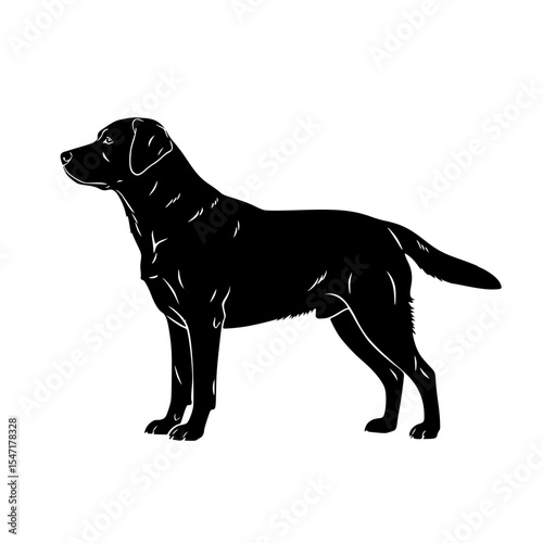 Understanding The Labrador Retriever Temperament Appearance Health Needs and Training Tips For Happy Life