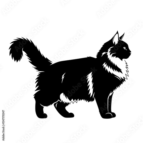 The Enigmatic Shadow A Comprehensive Look at the World of Long-Haired Black Cats