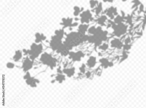 Shadow overlay effect. Transparent soft light and shadows from plant branches, leaves and foliage. Mockup of transparent shadow overlay effect and natural lightning