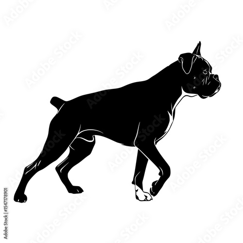 Elegant Silhouette of a Powerful Dog Capturing the Grace and Strength of an Athletic Animal