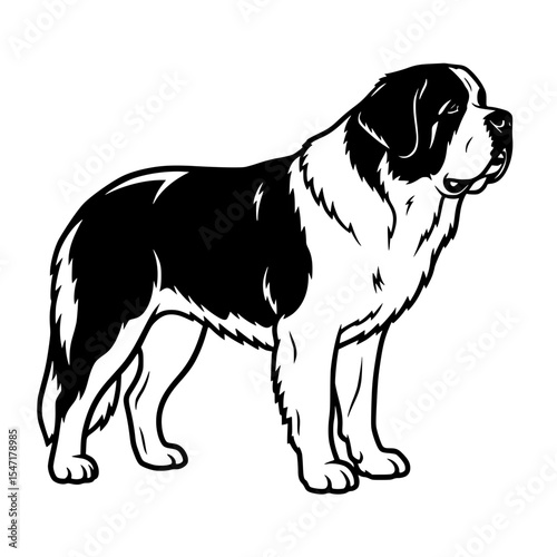 A Comprehensive Overview of Saint Bernard Dogs History Characteristics and Care Tips Information