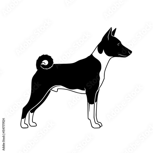 The Enigmatic Basenji Silent Hunter from Africa Distinctive Breed Characteristics Behavior Training and Health Considerations