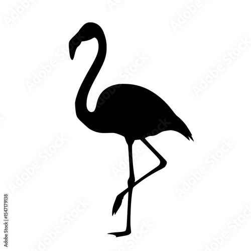 An Exquisite Silhouette of a Flamingo Bird Standing Gracefully On One Leg in the Tropical Wildlife Habitat
