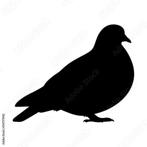 A Silhouette Image of a Pigeon Symbolizing Peace and Urban Wildlife Depicting a Common Sight in Many Cities