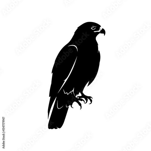 An Eye Catching Silhouette of a Majestic Bird of Prey Perched Calmly Against a White Background