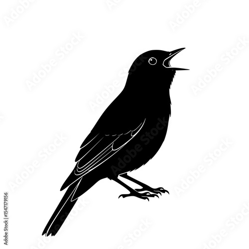The Silent Symphony A Study of Birdsong and Avian Communication Across Diverse Habitats and Ecosystems