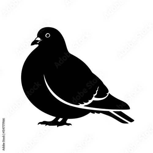 A Complete Overview of Pigeon Behavior Characteristics and their Unique Roles in the Urban Landscape