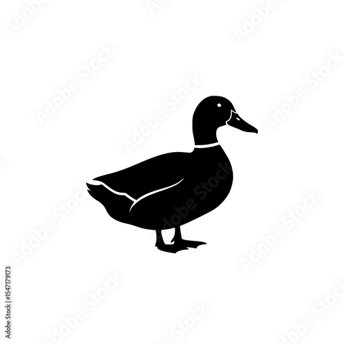 Elegant Black Duck Illustration Standing in a Field of Green Grass on a Clear Sunny Day