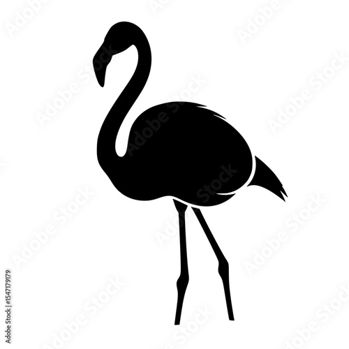 Elegant Flamingo Standing Tall A Silhouette Against a White Backdrop Showing Grace and Beauty