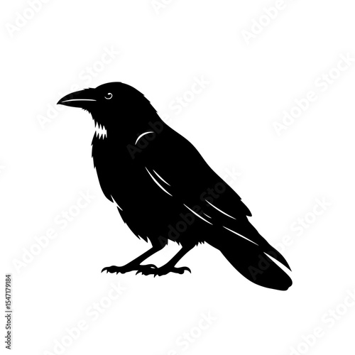 Silhouette of a Majestic Raven Perched Stately A Symbol of Mystery and Intrigue Observed in Nature