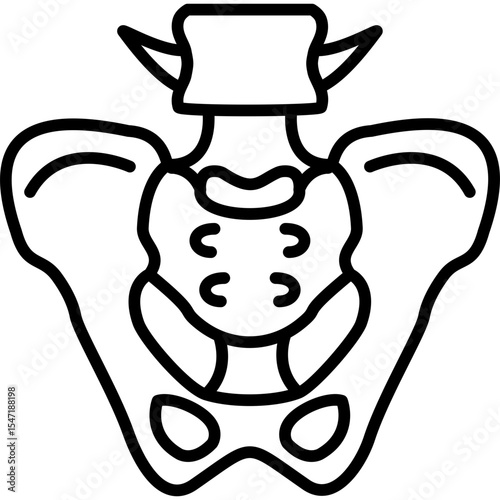 Pelvis Icon