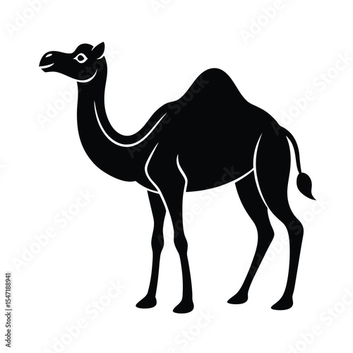 Camel vector silhouette