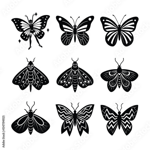 collection of butterflies