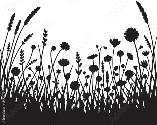 A beautiful silhouette illustration of a blooming wildflower and grass meadow border.