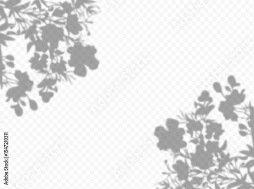 Shadow overlay effect. Transparent soft light and shadows from plant branches, leaves and foliage. Mockup of transparent shadow overlay effect and natural lightning