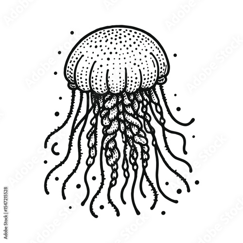 jellyfish on black background