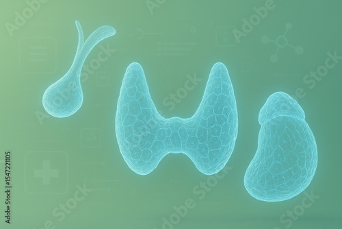 AI generated glowing digital illustration of pituitary thyroid and adrenal glands in blue holographic style with soft green background representing health hormones and medical technology