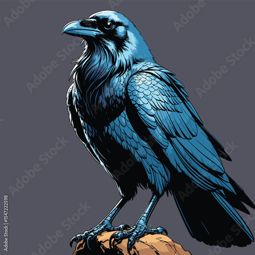 Realistic and natural vector image of a crow