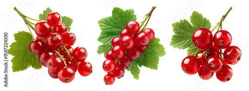 Fresh red currants with green leaves.  Perfect for food blogs, recipes, and healthy eating content.