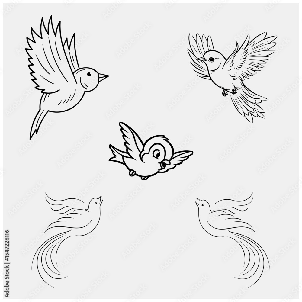 Fototapeta premium Black and white beutiful birds104