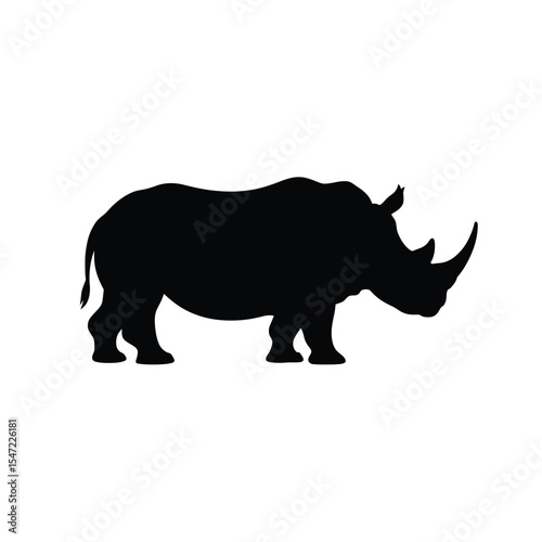 rhino isolated on white