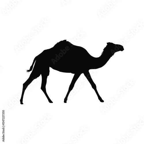 camel silhouette vector