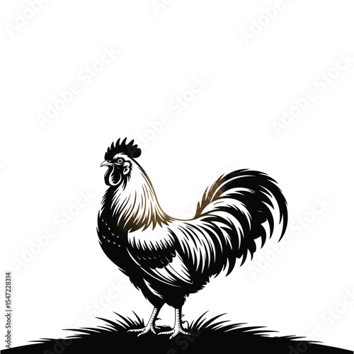 A black silhouette of a chicken in a natural pose